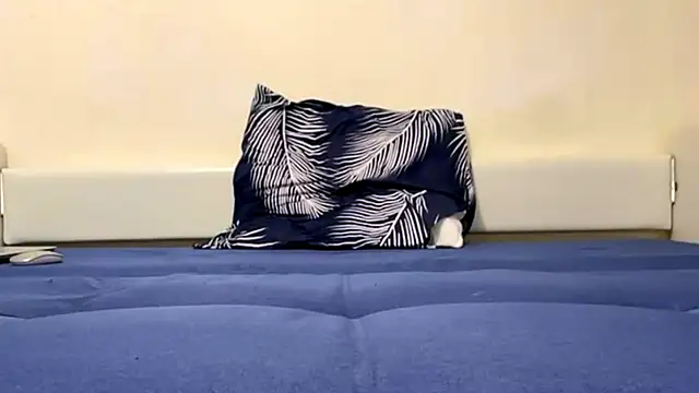 RenataBrought webcam