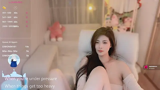 Vaidurya-Yolo webcam