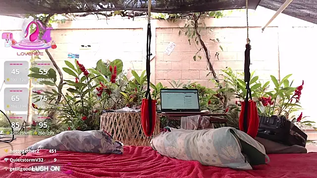 Neil_and_isaac webcam