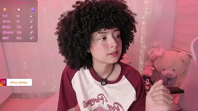 Alice_winter_ webcam