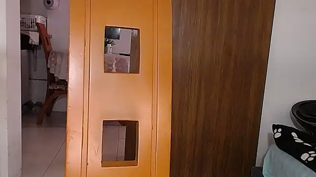 yselahot live sex cam