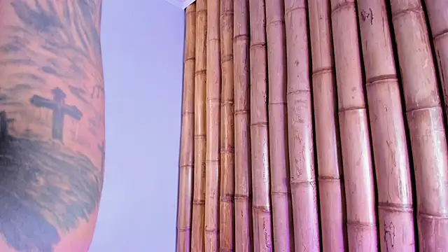 charlotte_mitchell_ webcam