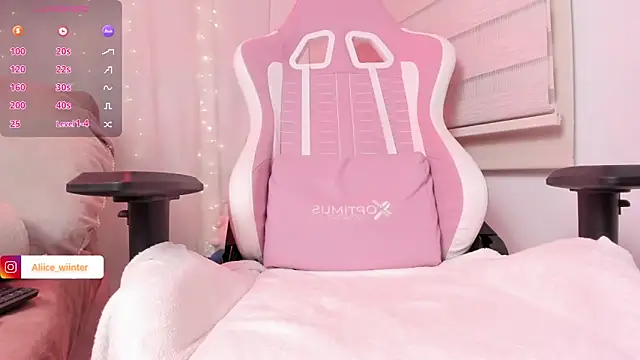 Alice_winter_ webcam