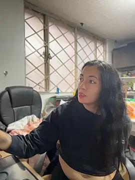 SALOME_KORLAND webcam