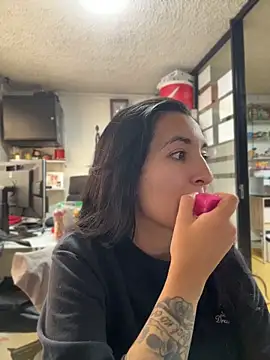 SALOME_KORLAND webcam