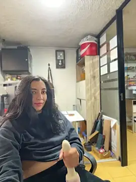 SALOME_KORLAND webcam