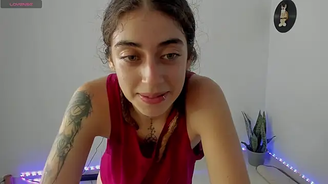 star_shooting8 webcam