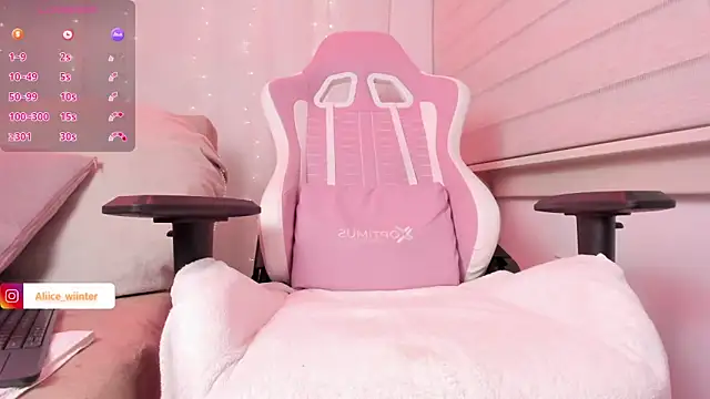 Alice_winter_ webcam