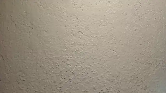 Secret_Dessire webcam