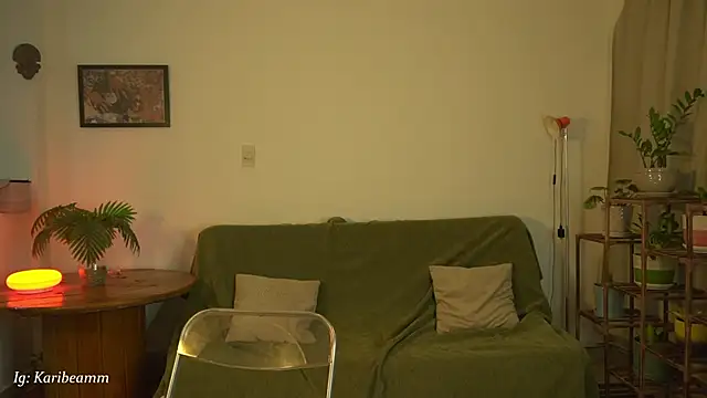 Karibeam webcam