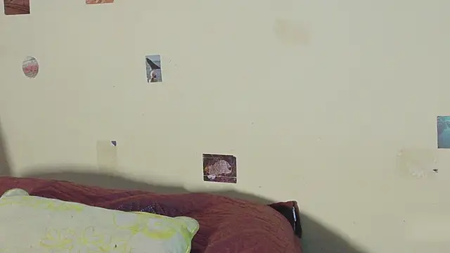 DannyPhantom555 webcam