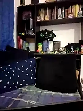 AoA-BoyStudent webcam