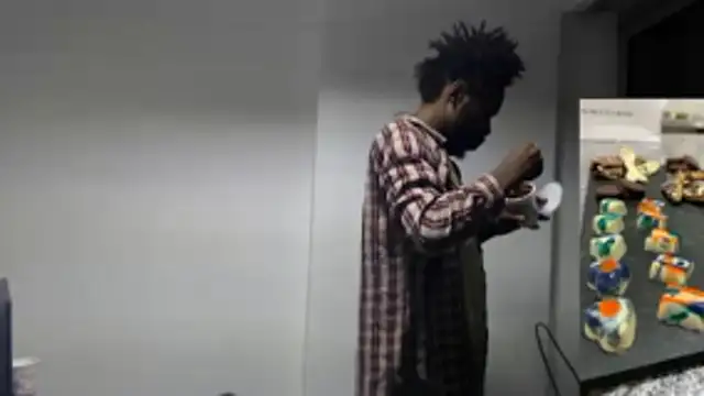 Mastertopdome webcam