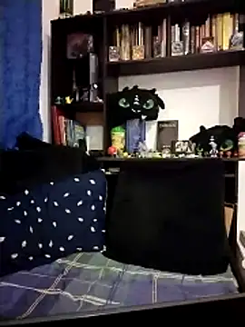 AoA-BoyStudent webcam