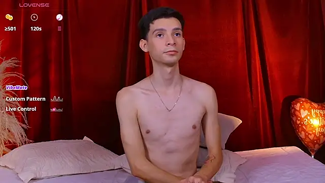 VicenteFerrer webcam