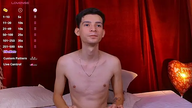 VicenteFerrer webcam