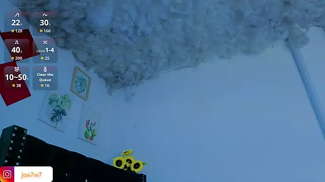 Levii_Ackermann webcam