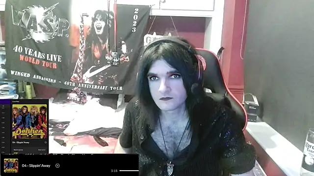 Rocker_Assassin_WASP_FAN webcam