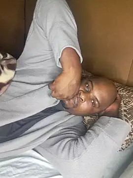 BlackMaskedBear webcam