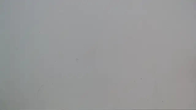 18dulcegatita webcam