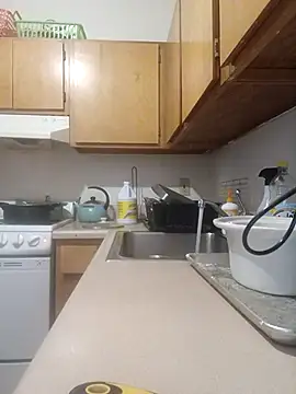 ReallyReallyReal webcam