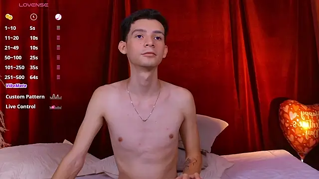 VicenteFerrer webcam