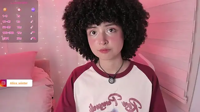 Alice_winter_ webcam