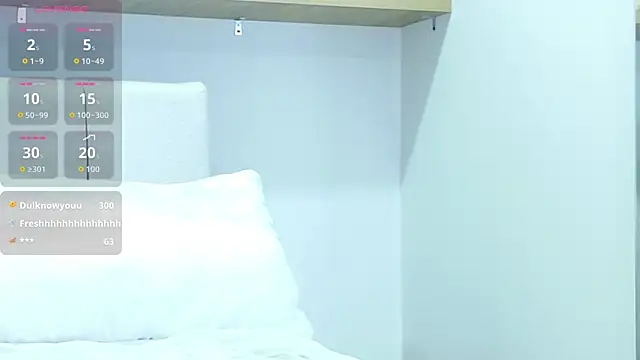 PalmerBeaumont webcam