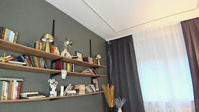 ErinBissonnette webcam