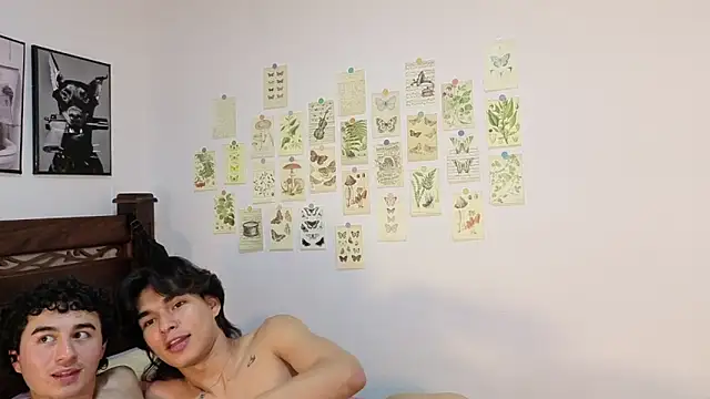 Raven_Eclipse webcam