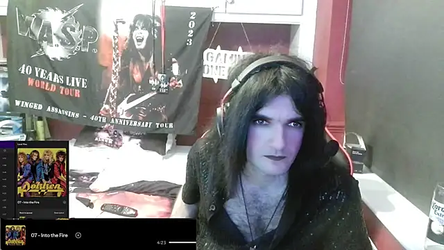 Rocker_Assassin_WASP_FAN webcam