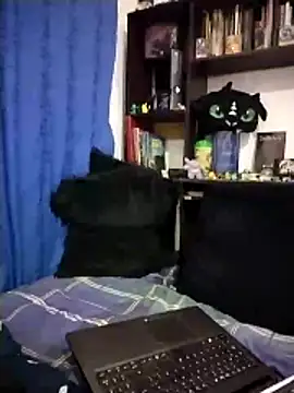 AoA-BoyStudent webcam