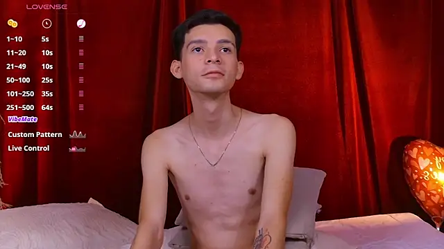 VicenteFerrer webcam