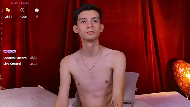 VicenteFerrer webcam