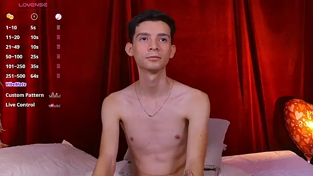 VicenteFerrer webcam