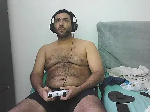 IronSideBear webcam