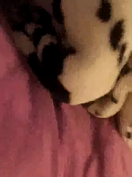 geilerboy2628 webcam