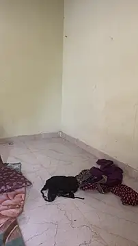 hornysofiya live show