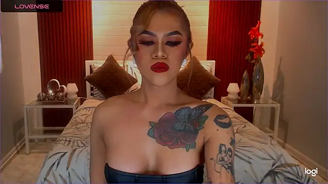 StellaStrong30 webcam