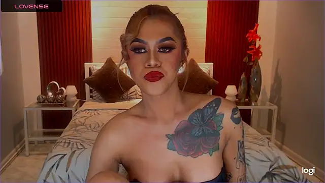 StellaStrong30 webcam