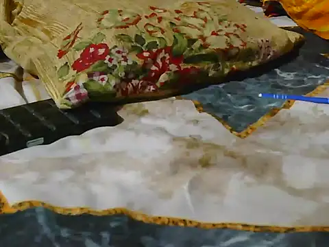 Stubborndesiboy webcam