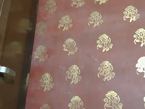 Stubborndesiboy webcam