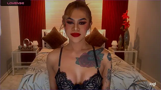 StellaStrong30 webcam