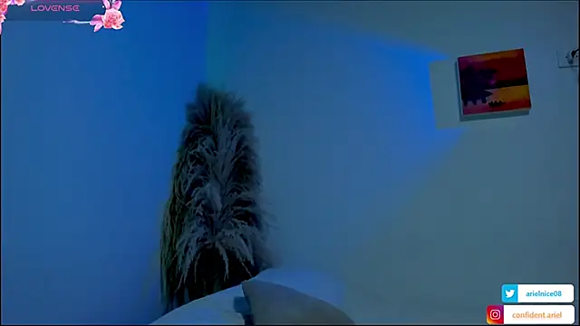 niceariel_ - NiceAriel_'s free webcam - UK Sex Cams