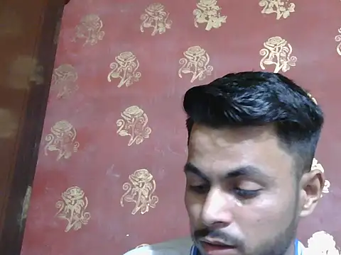 Stubborndesiboy webcam