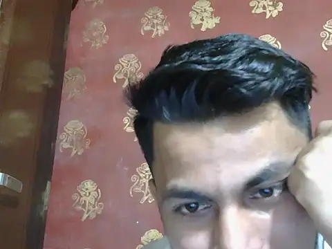 Stubborndesiboy webcam