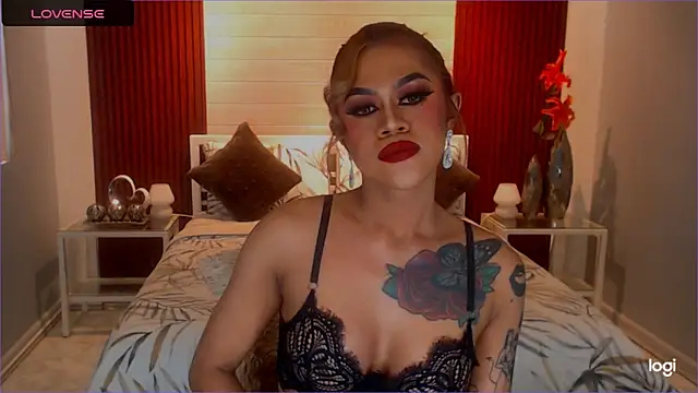 StellaStrong30 webcam