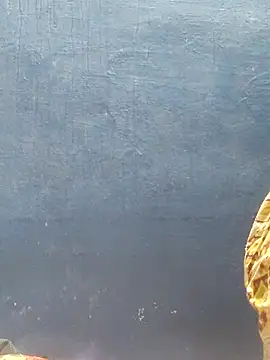 tamilthanushri webcam