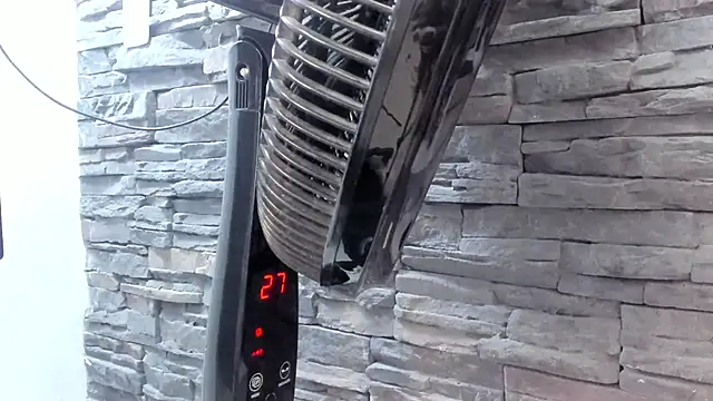 Doble_fantasia live sex cam