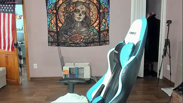 Project_hisoka webcam